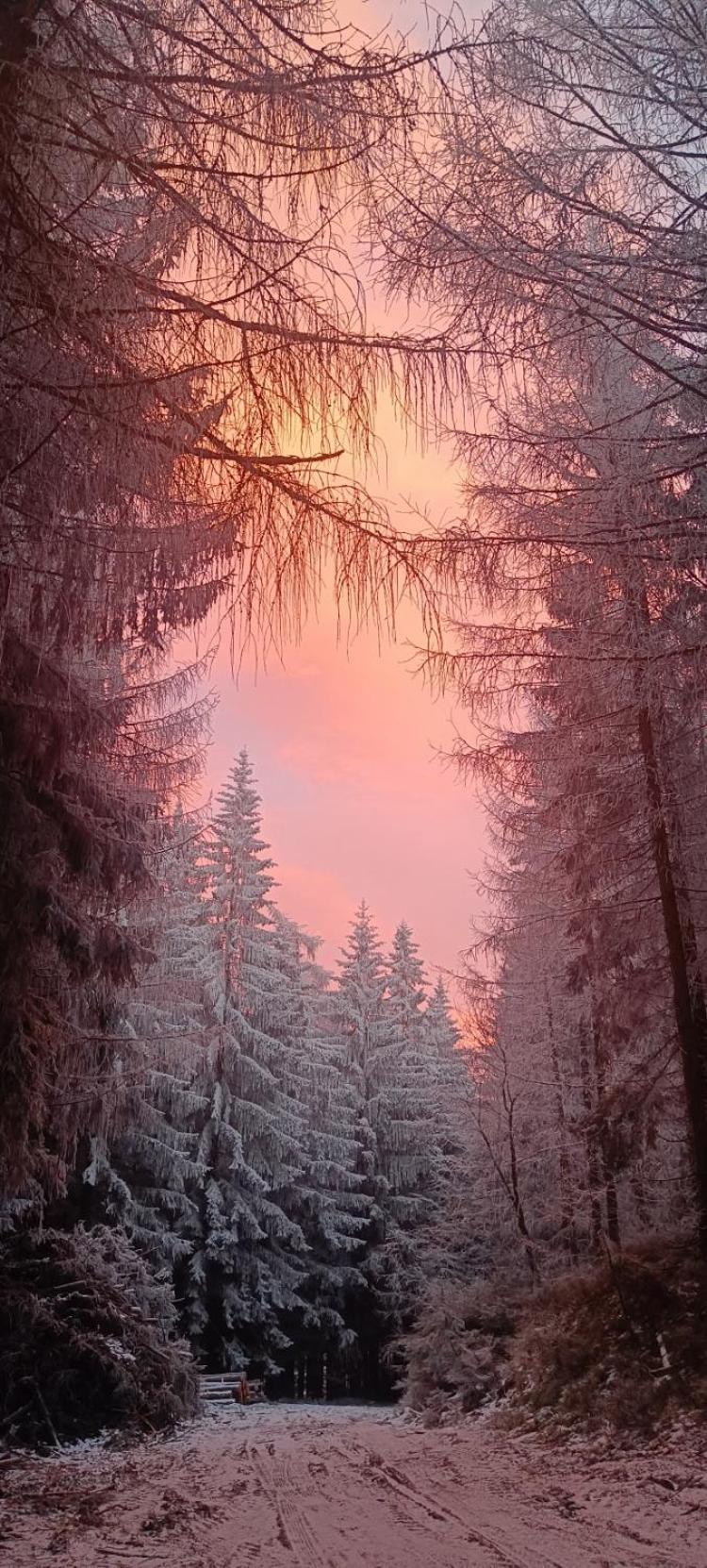 Ubytovani Na Potoce Appartement Radvanice  Buitenkant foto